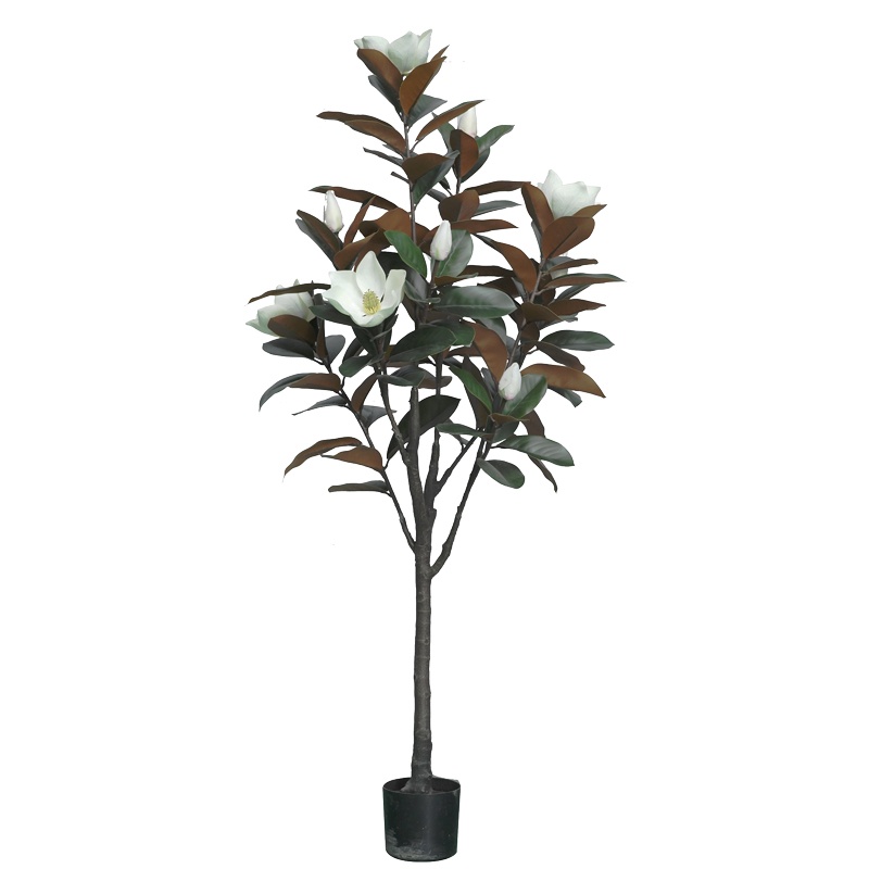 Planta decorativa Mangola I in ghiveci plastic PP alb H155 cm