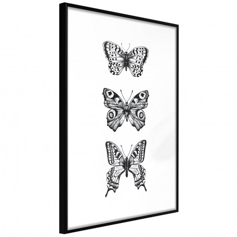 Poster - Butterfly Collection III, cu Ramă neagră, 30x45 cm