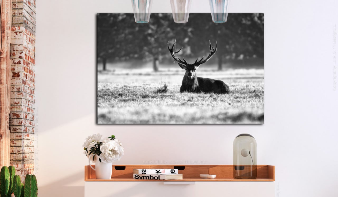 Tablou - Lying Deer 90x60 cm - 1 | YEO