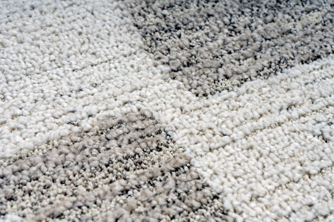 Covor Parma Crem 120x170 cm - 4 | YEO