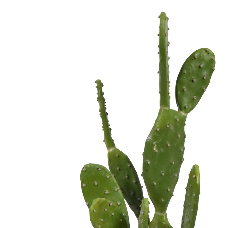 Planta decorativa Cactus in ghiveci verde plastic PP H64 cm - 1 | YEO