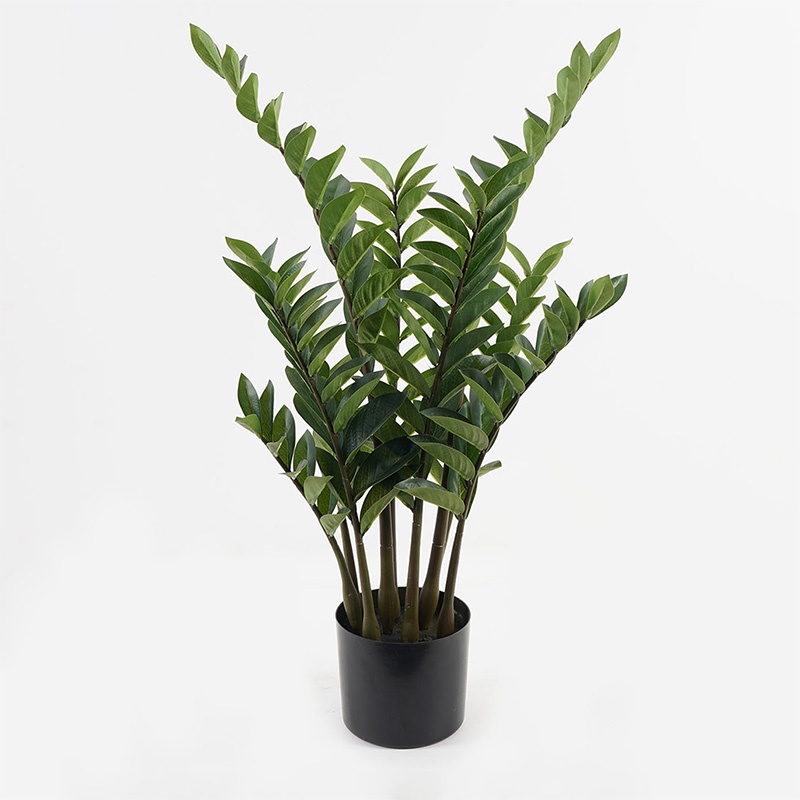 Planta decorativa cu ghiveci Zamia Verde 52x52x88 cm