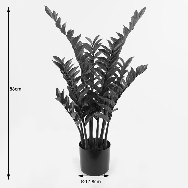 Planta decorativa cu ghiveci Zamia Verde 52x52x88 cm