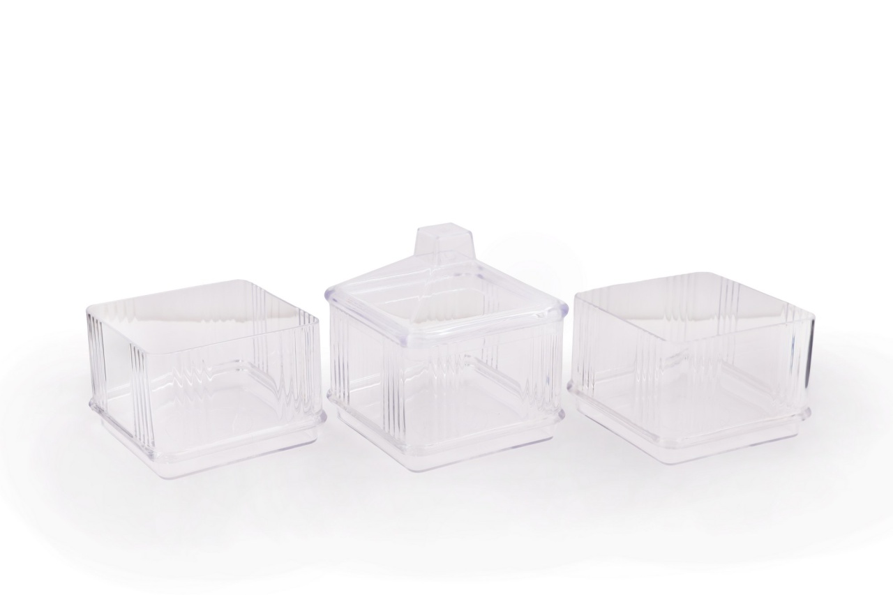 Set cutii de depozitare, 6 bucati Kareakrlk Transparent 10x10x49.5 cm - 2 | YEO