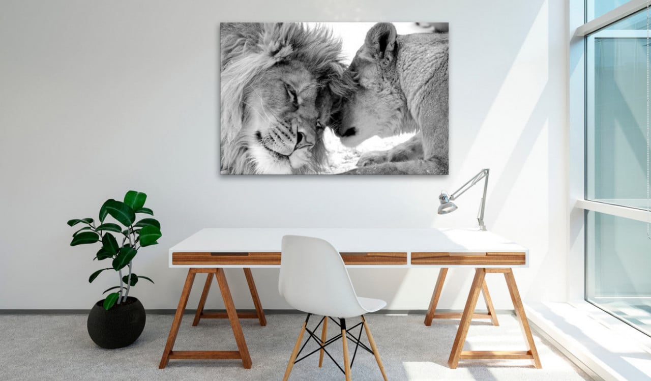 Tablou - Lion\'s Love 120x80 cm - 1 | YEO