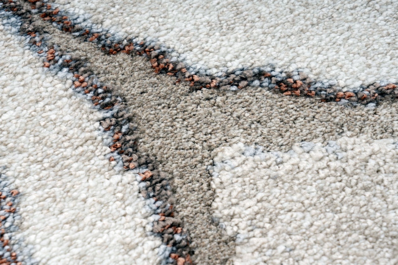 Covor Bologna Terra 140x200 cm - 4 | YEO