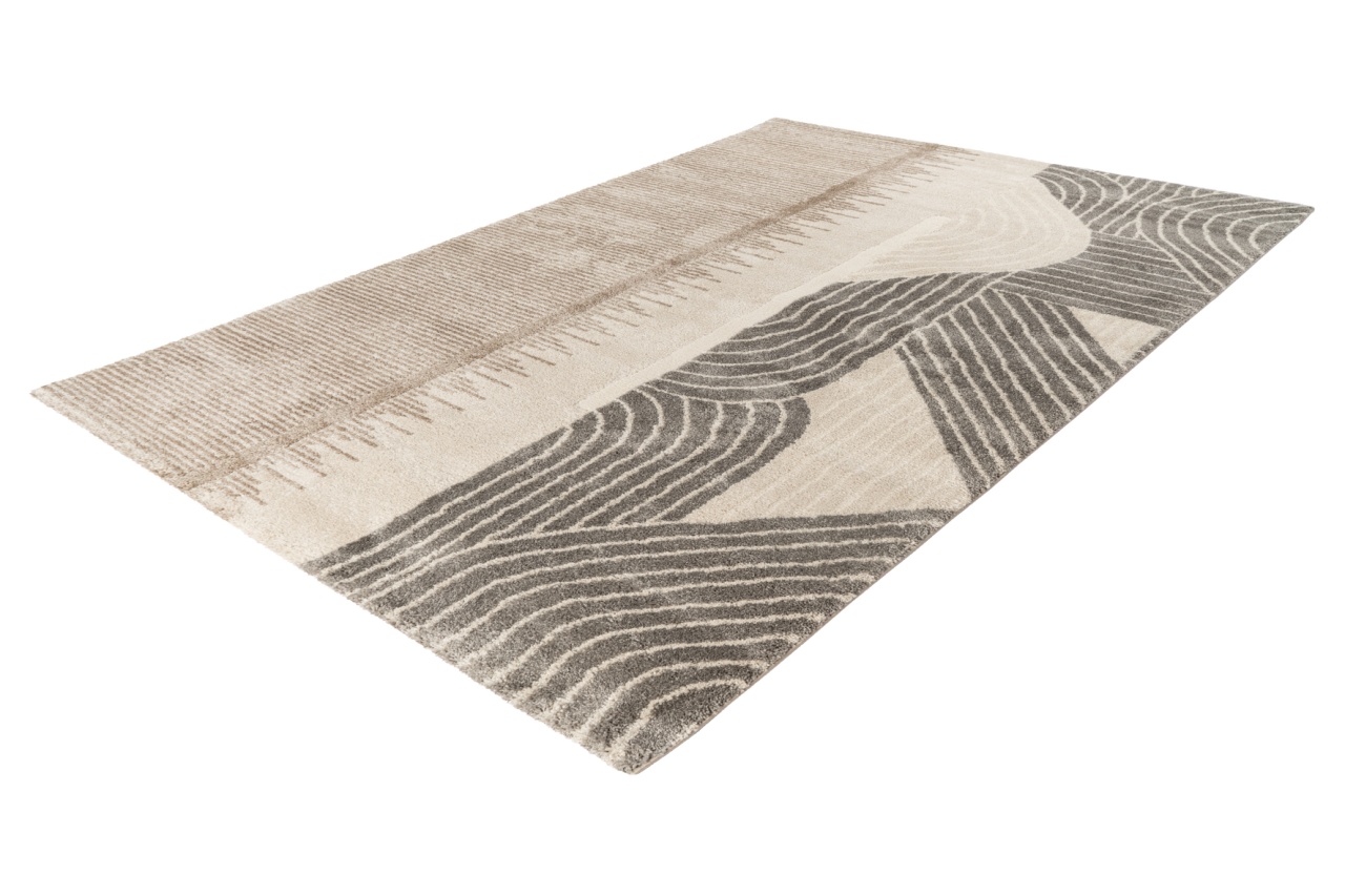 Covor My Canyon Taupe 200x290 cm - 3 | YEO
