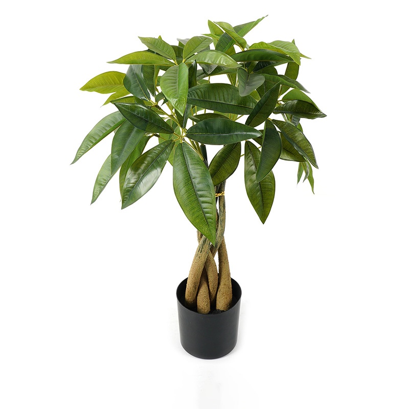 Planta decorativa cu ghiveci Pachira Negru 40x40x60 cm
