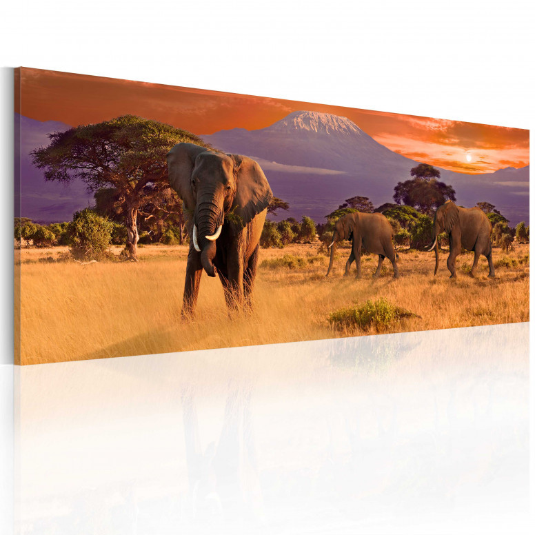 Tablou - March of african elephants 120x40 cm