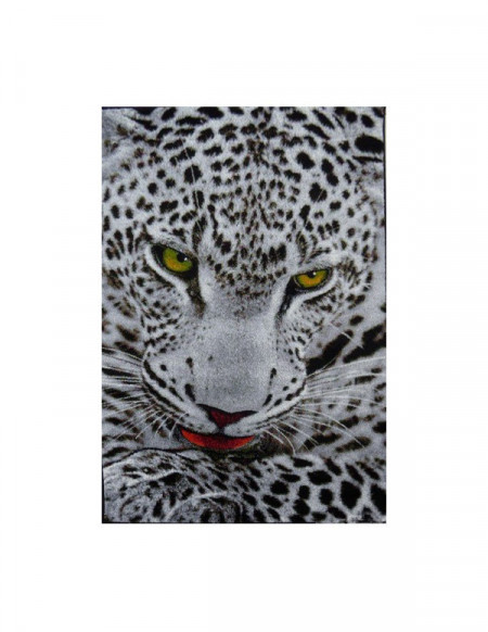 Covor Kolibri Leopard, 160x230 cm