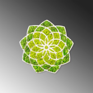 Accesoriu decorativ de perete Daisy Verde 44x1.6x44 cm - Img 5