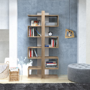 Biblioteca Ionis - Img 2