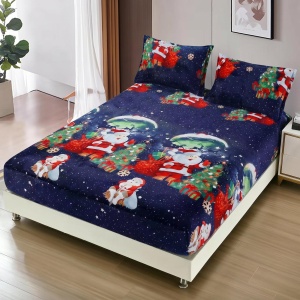 Cearsaf de pat Cocolino cu elastic si 2 fete de perna Merry V18 180x200cm