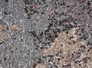 Covor, Mira, Gri, 100x200 cm, Delta 24137 123 - Img 2
