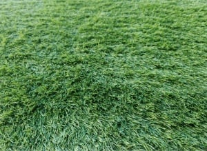 Gazon Artificial, Despi, Verde, 100x2200 cm, Delta - Img 3