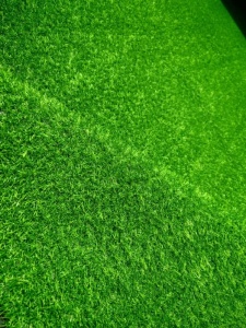 Gazon Artificial, Leisure, Verde, 100x2500 cm, Delta - Img 3