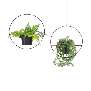 Jardiniera SEH-4560 Negru 25x25x25 cm - Img 3