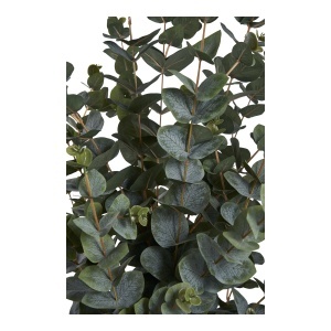 Planta artificiala decorativa Eucalipt, Verde, 36x46x120 cm - Img 4