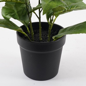Planta decorativa cu ghiveci Hydrangea Verde 35x35x50 cm - Img 3