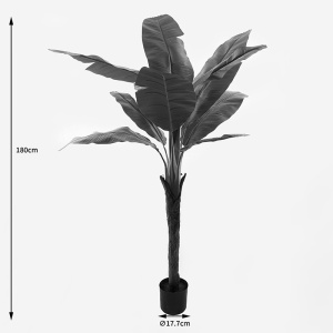 Planta decorativa cu ghiveci Musa Negru 105x105x180 cm - Img 4