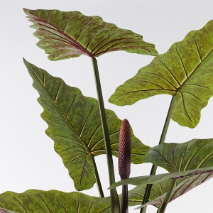 Planta decorativa cu ghiveci Wentii Verde 130x130x180 cm - Img 2