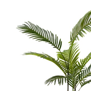 Planta decorativa de gradina Areca Pako World Negru 80x80x80 cm - Img 2