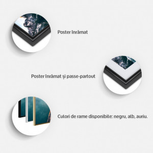 Poster - Butterfly Collection III, cu Ramă neagră, 40x60 cm - Img 3