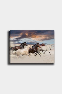 Tablou 310236866 Multicolor 50x70x3 cm - Img 2