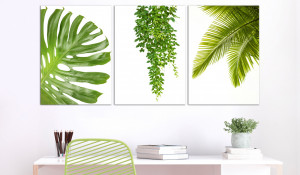 Tablou - Beautiful Palm Trees (3 Parts) 120x60 cm - Img 2