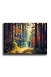 Tablou Kanvas Multicolor 50x70x3 cm - Img 2