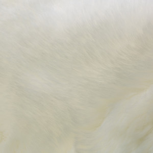 Covor Samba Cushion Ivory 40x40 cm - Img 3