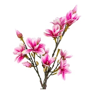 Planta artificiala decorativa Magnolia, Verde, 30x40x75 cm - Img 3