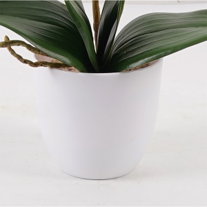 Planta decorativa cu ghiveci Orchid Mov 30x13x46 cm - Img 3