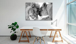 Tablou - Lion's Love 60x40 cm - Img 2