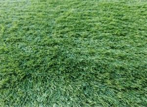 Gazon Artificial, Lion, Verde, 100x900 cm, Delta - Img 3
