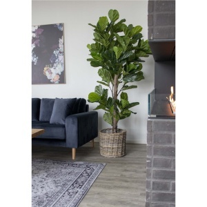 Planta artificiala decorativa Smochin lira, Verde, 81x93x190 cm