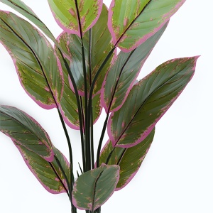 Planta decorativa cu ghiveci Calathea Verde 68x68x120 cm - Img 2