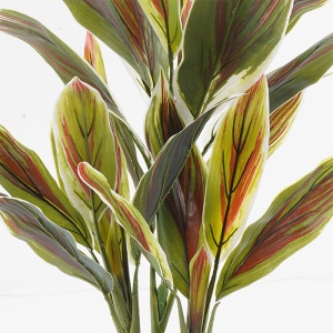 Planta decorativa cu ghiveci Cycas Verde 55x55x80 cm - Img 2