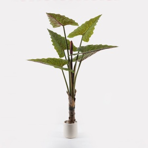 Planta decorativa cu ghiveci Wentii Verde 130x130x180 cm