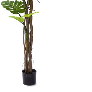 Planta decorativa Monstera III Pako World Negru inaltime 180 cm - Img 3