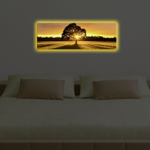 Tablou cu LED 3090DACT Multicolor 30x90x3 cm - Img 3