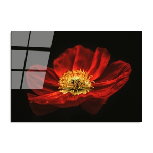 Tablou din sticlă temperată UV Multicolor 70x100 cm - Img 5