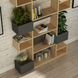 Biblioteca Niho Oak-Antracit - Img 2