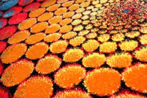 Covor Modern, Kolibri Multicolor 240x340 cm - Img 2