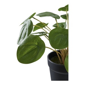 Planta artificiala decorativa Pelia Pelia, Verde, 28x28x14 cm - Img 4