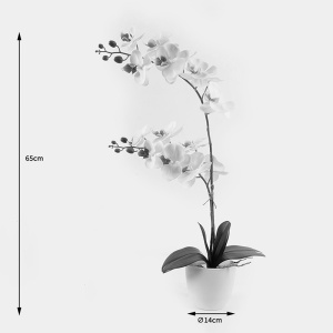 Planta decorativa cu ghiveci Orchid Alb 36x17x65 cm - Img 4
