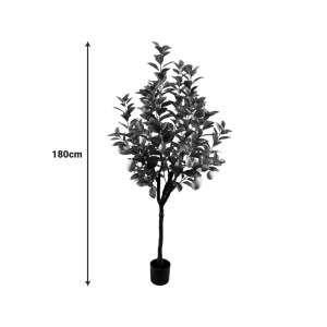 Planta decorativa Lemon tree Verde 180x180x180 cm - Img 2
