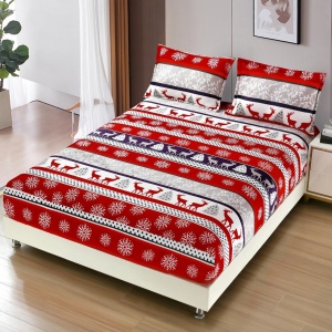Cearsaf de pat Cocolino cu elastic si 2 fete de perna Merry V16 180x200cm