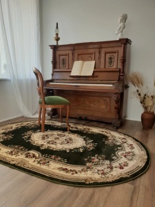 Covor Oval, Lotos, Crem, 150x230 cm, Delta Lotos 575-310 - Img 2