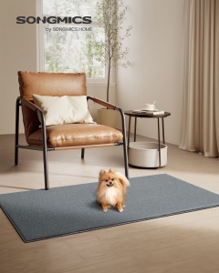 Covor Songmics Gri 150x80x0.1 cm - Img 2